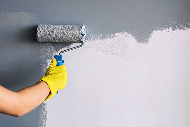 Master the Art of Paint Prep with Our Exclusive How-To Guide for Overland Park Homes!When targeting the niche of interior painting preparation in Overland Park, here are eight engaging topics you could write about: